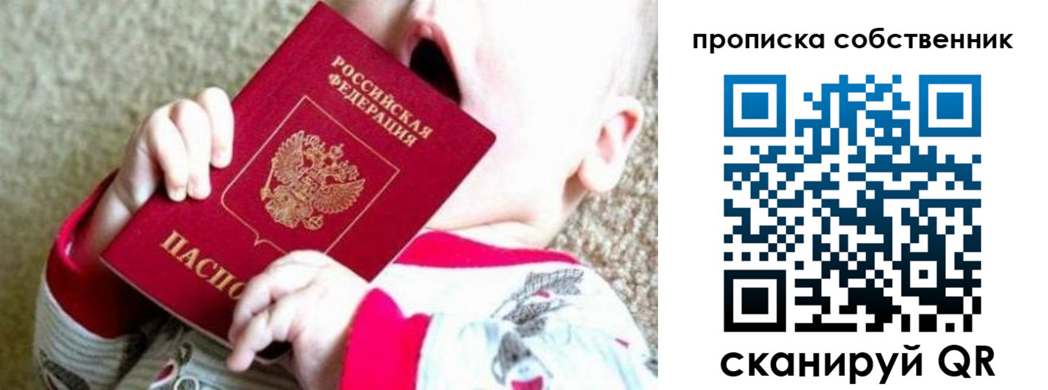 прописка для школы в Волгоградской области